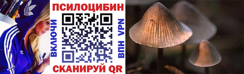 дарнет шоп  Томари  Псилоцибиновые грибы MAGIC MUSHROOMS 